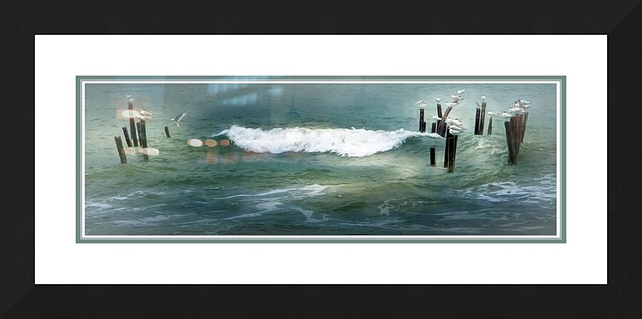Sea Gulls Shaken Not Stirred in Costa Rica  Framed Print Print