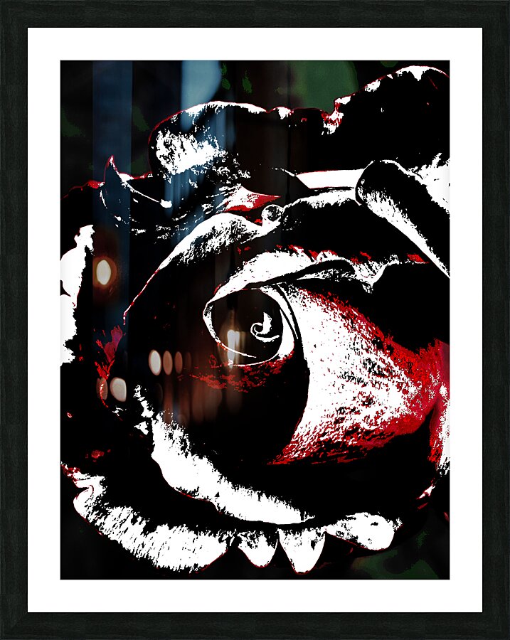 Abstract Impressions of a Rose  Picture Frame print