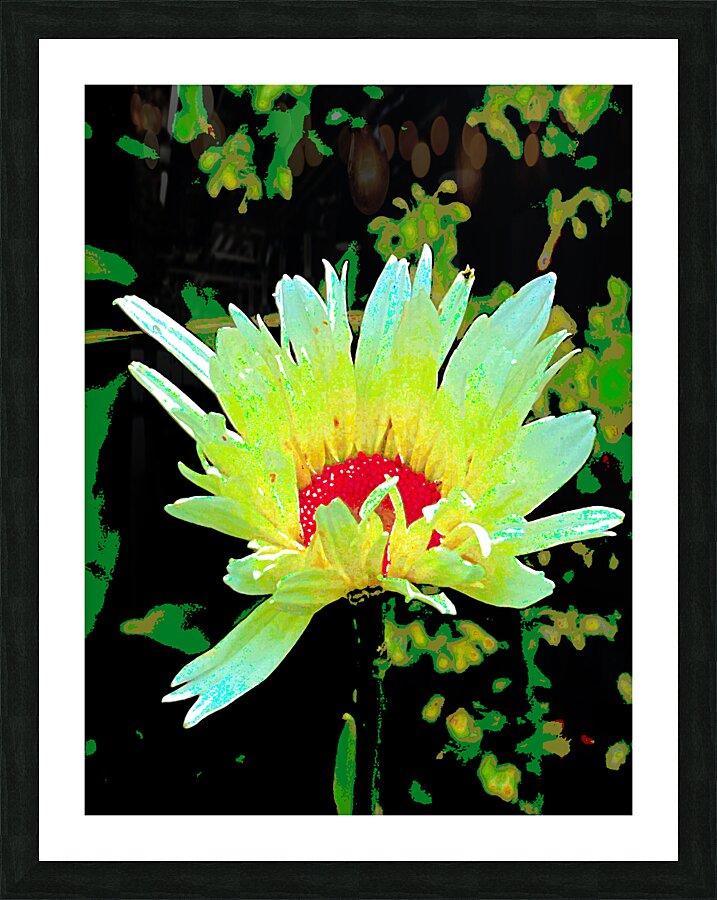 Abstract Summer Daisy Flower Picture Frame print