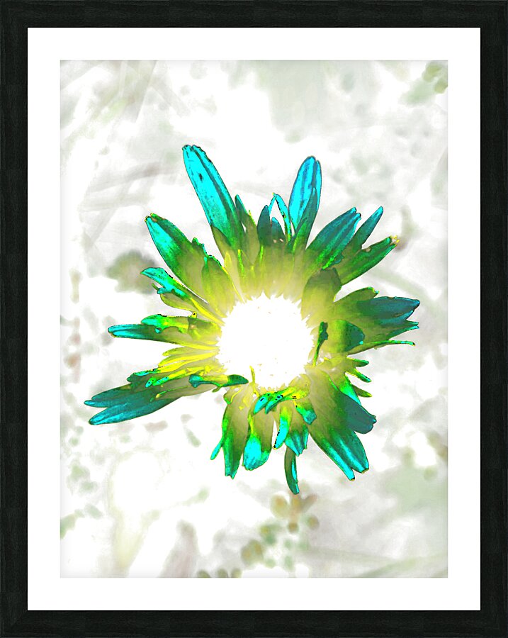 Abstract Daisy Flowers Light Picture Frame print