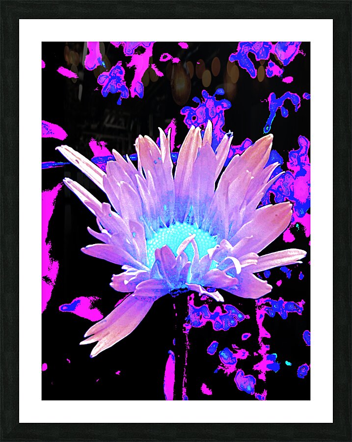 Abstract Summer Daisy Flower in Pinks and Purples  Picture Frame print