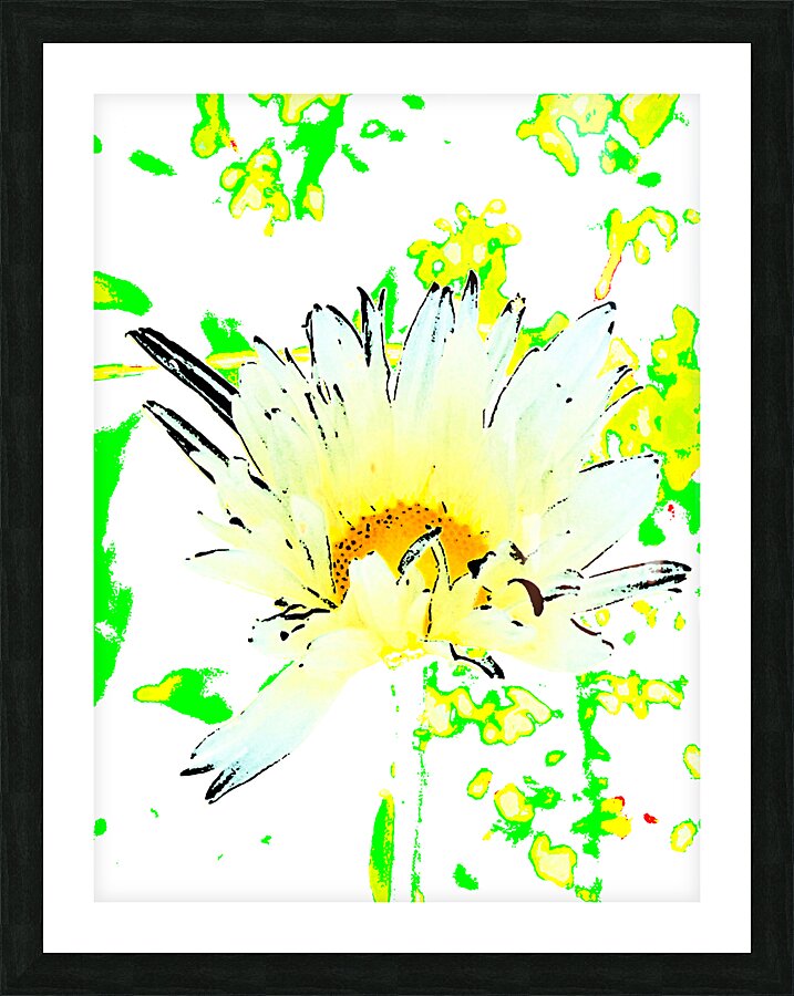Abstract Summer Daisy Flower with a Yellow Centre Picture Frame print