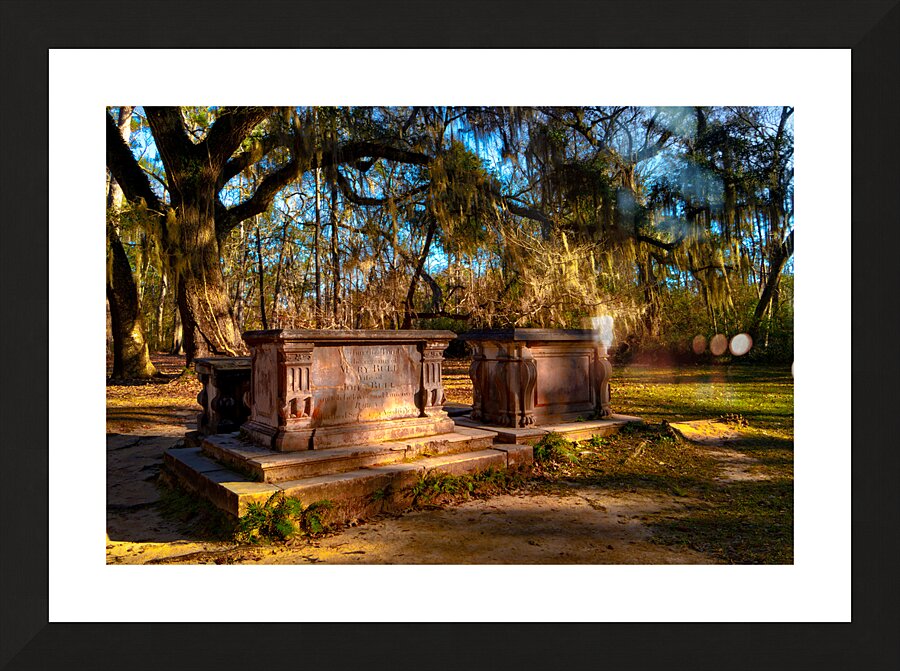 Old Sheldon Church Tombs Picture Frame print