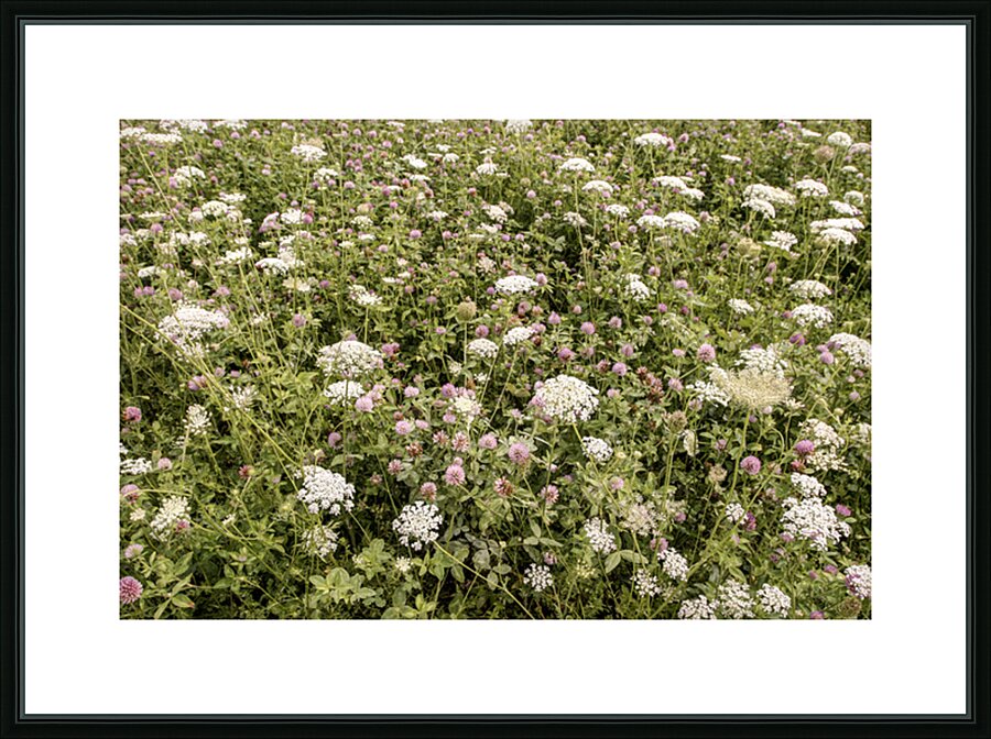 They Play So Well Together Picture Frame print