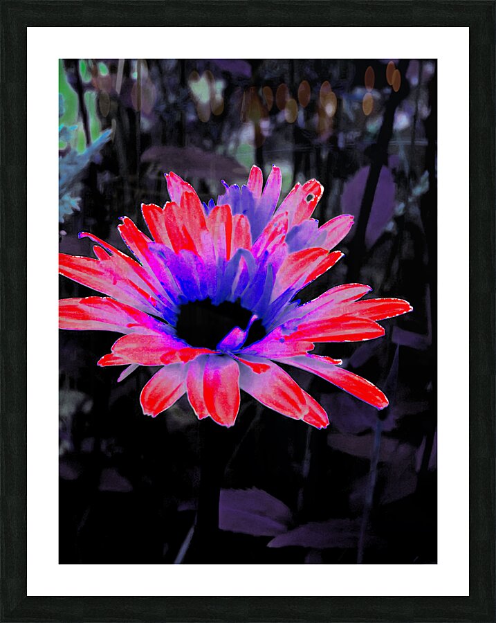  Abstract Garden Summer Daisy Flower Picture Frame print