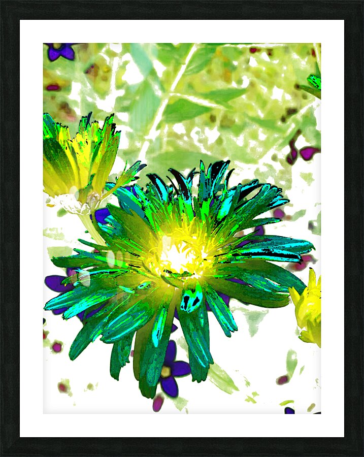 Abstract Glowing Summer Daisy Light Picture Frame print