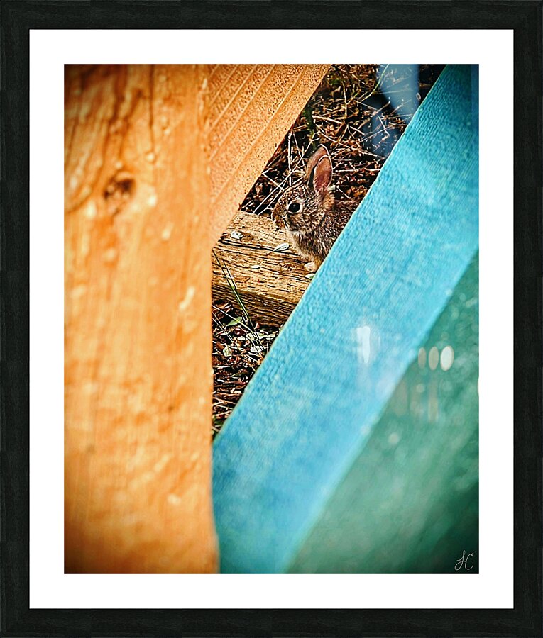 Bunnyette Picture Frame print