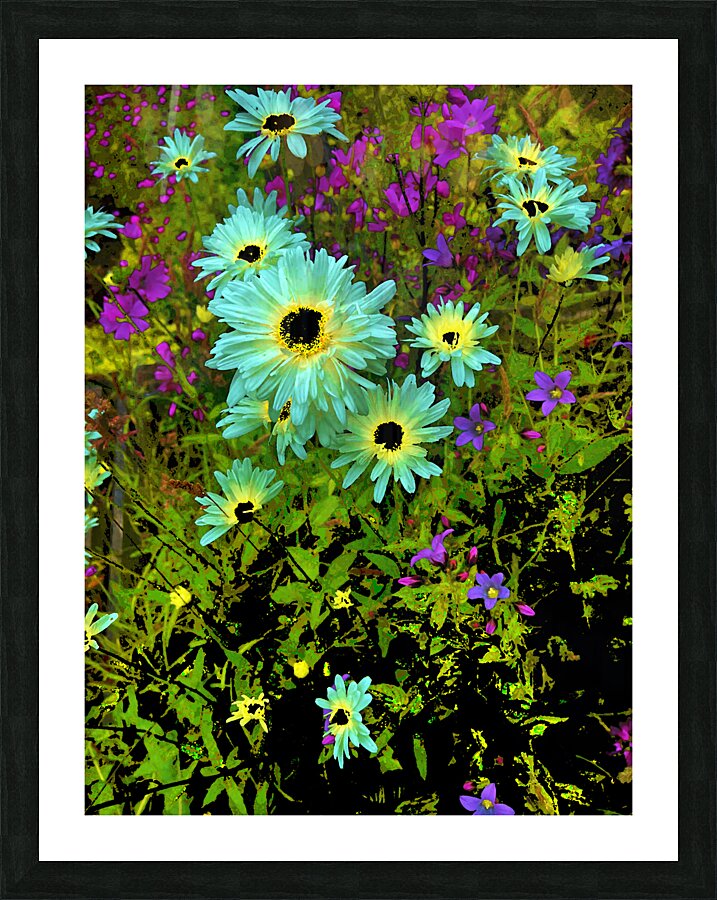 Abstract Vibrant Daises in the Garden Picture Frame print