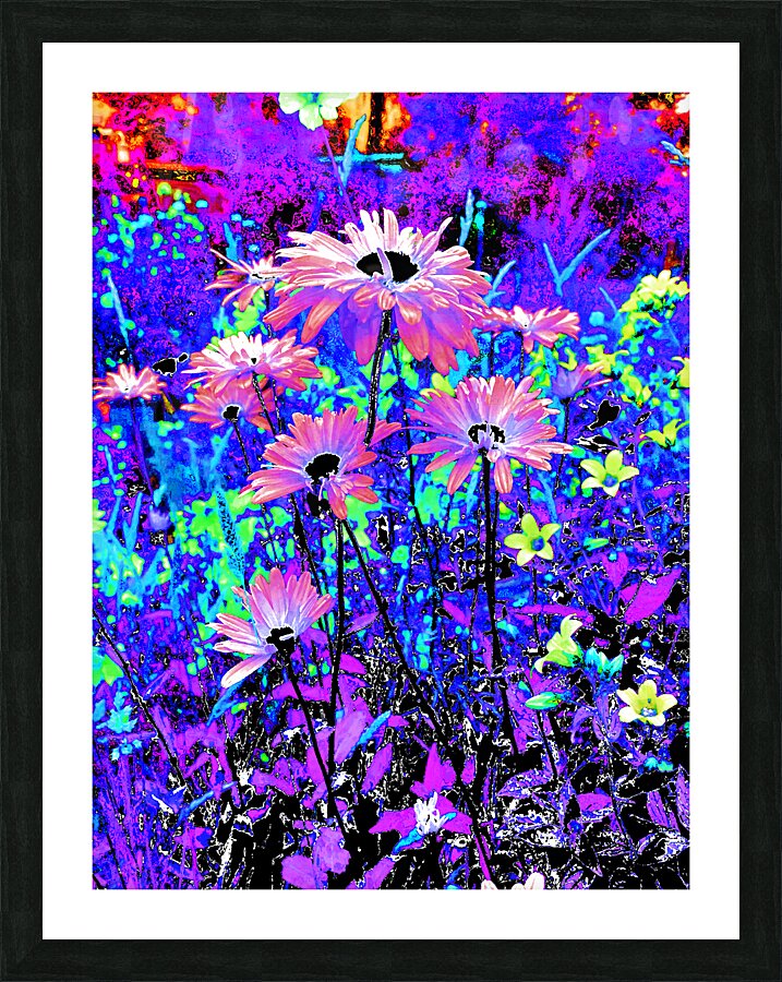Abstract Surreal Daises in the Garden Picture Frame print