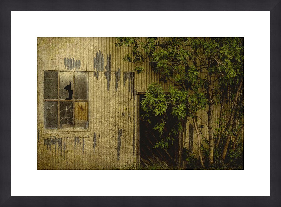 Creepy Shed in Shelby Picture Frame print