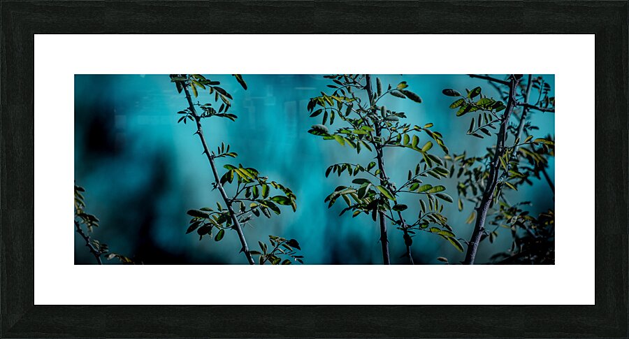 Midnight Picture Frame Printing