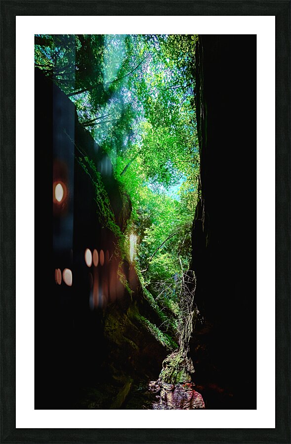 Heart of Nature  Picture Frame Printing