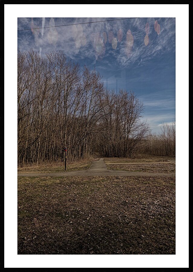 2024 Portfolio 3 Picture Frame print