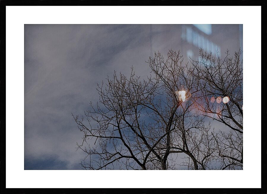 2024 Portfolio 5 Picture Frame print