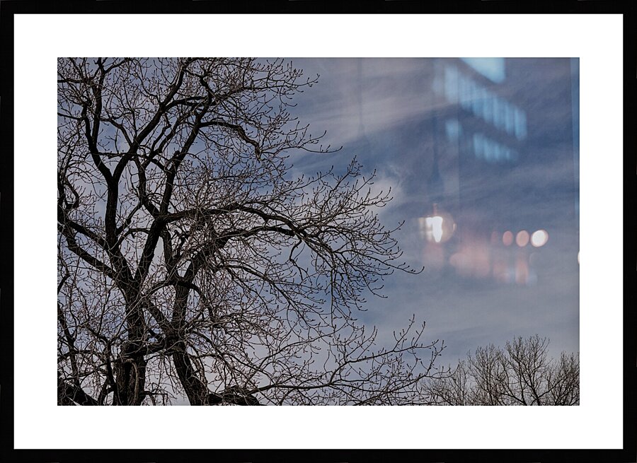 2024 Portfolio 24 Picture Frame print