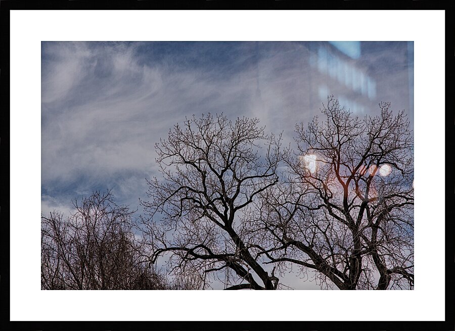 2024 Portfolio 1 Picture Frame print