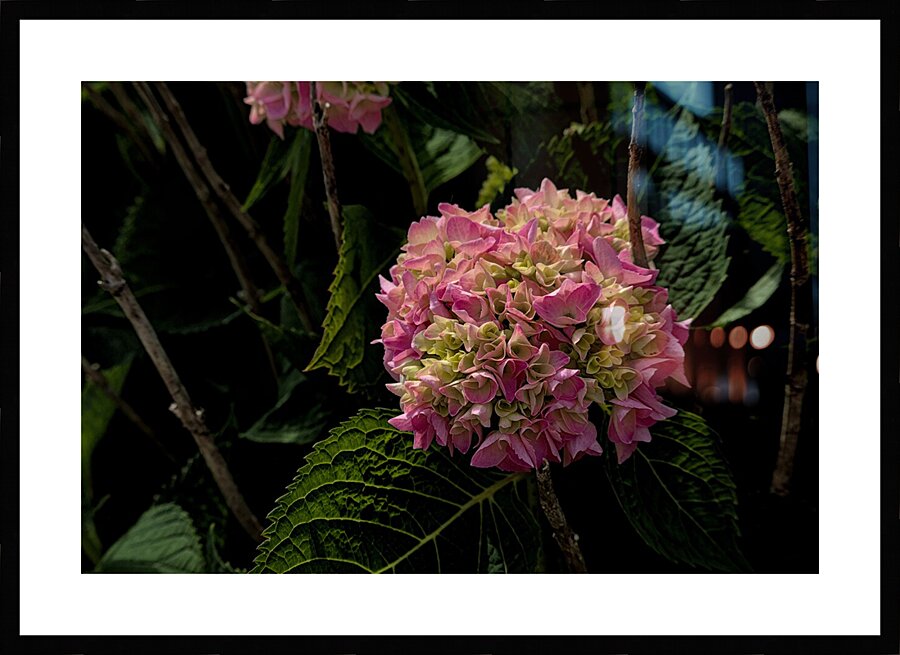 2024 Portfolio 35 Picture Frame print