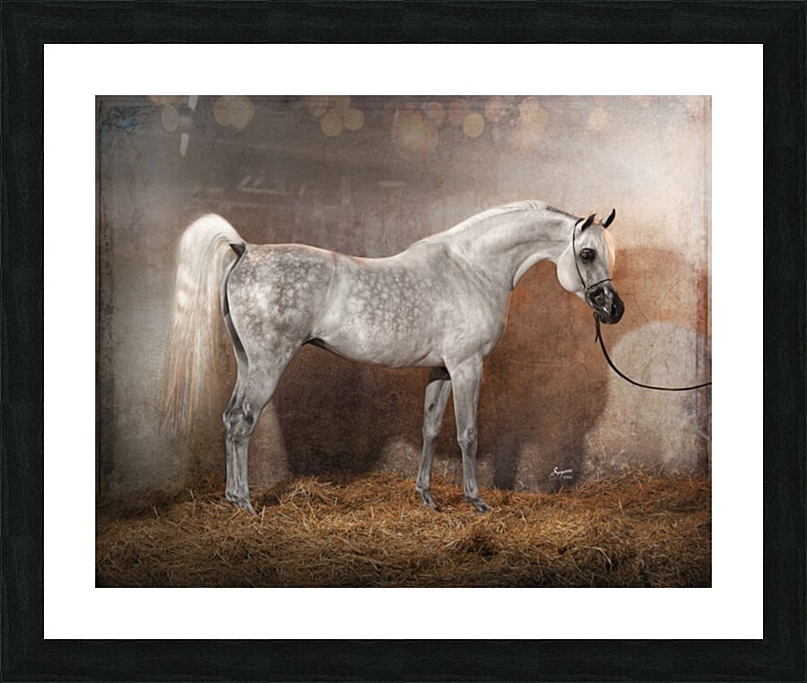 Old World Grace Picture Frame print