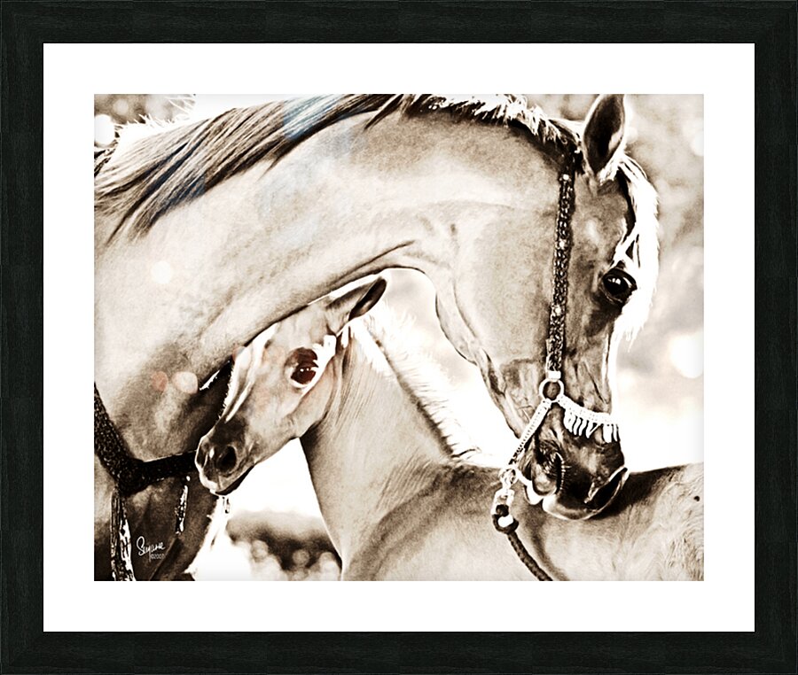 A Mothers Bond Picture Frame print