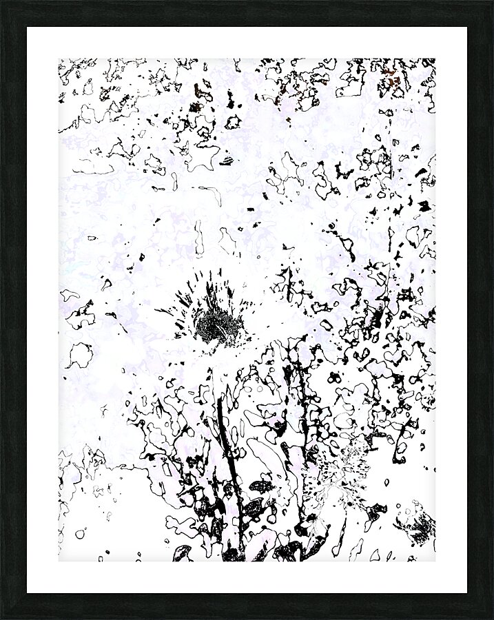 Abstract Monochrome Daisy Flower Picture Frame print
