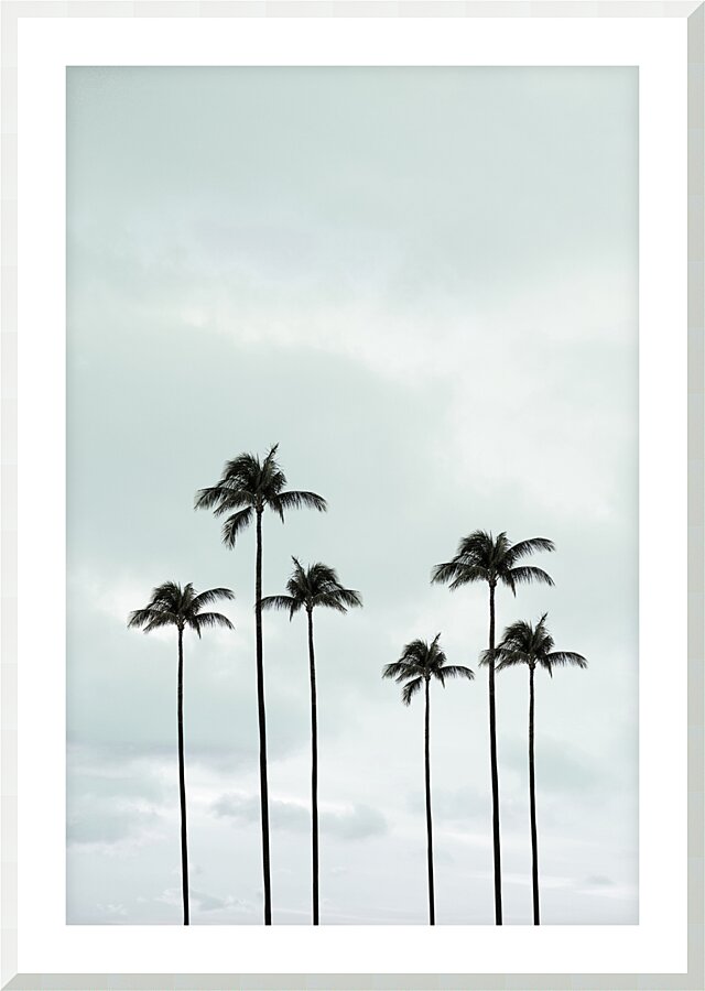 Palm Trees | Tropical Picture Frame print