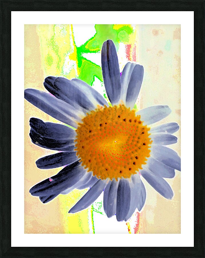 Abstract Surreal Daisy Flower Picture Frame print