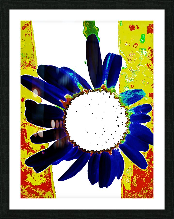  Abstract Large Daisy Flower  Picture Frame print