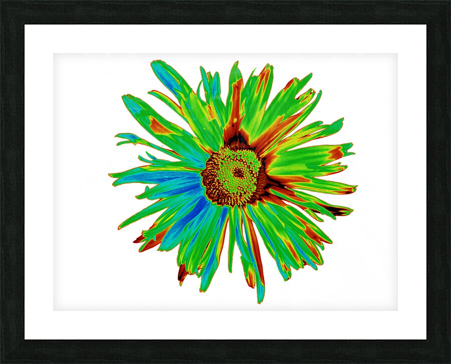 Abstract Neon Psychedelic Daisy Flower Picture Frame print