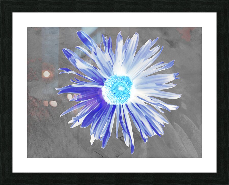 Abstract Luminescent Daisy Flower Picture Frame print