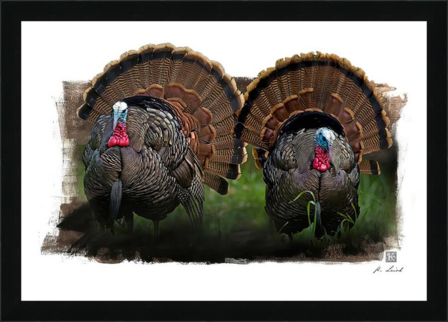 Double Trouble   Picture Frame print