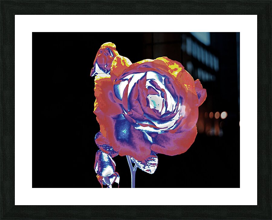 Abstract Vibrant Rose Picture Frame print