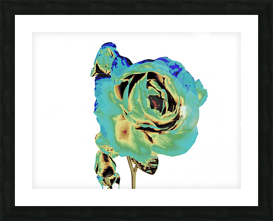 Abstract Cyan and Green Rose Picture Frame print