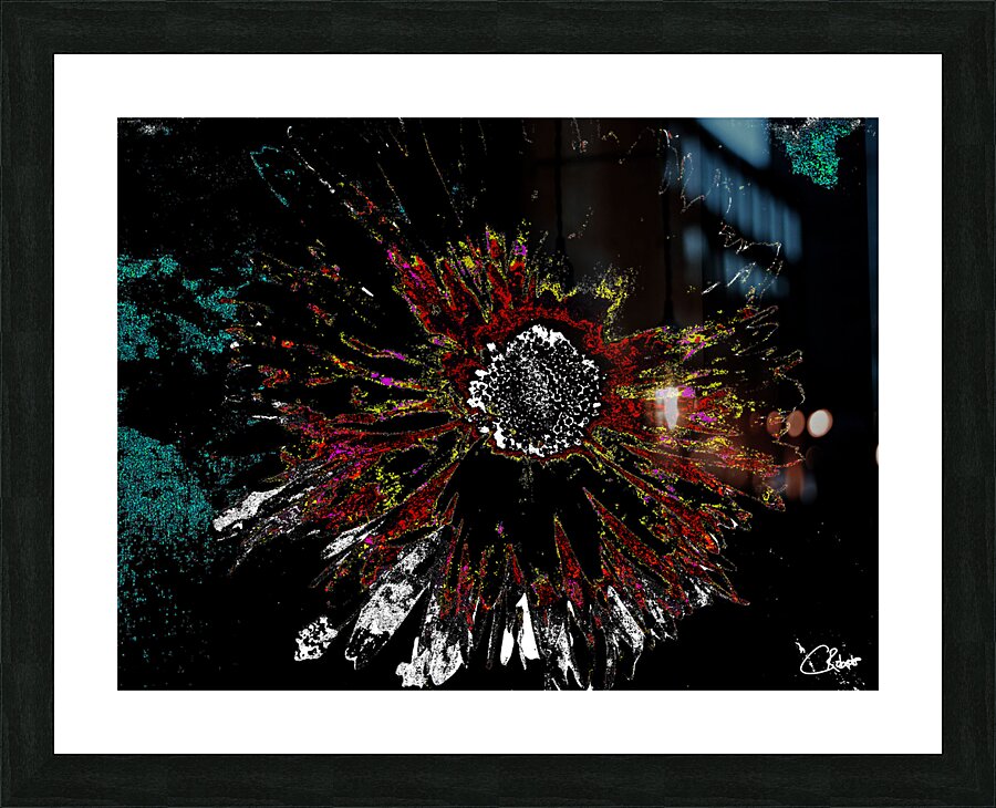 Abstract Vibrant Dark Daisy on an Abstract Background  Picture Frame print