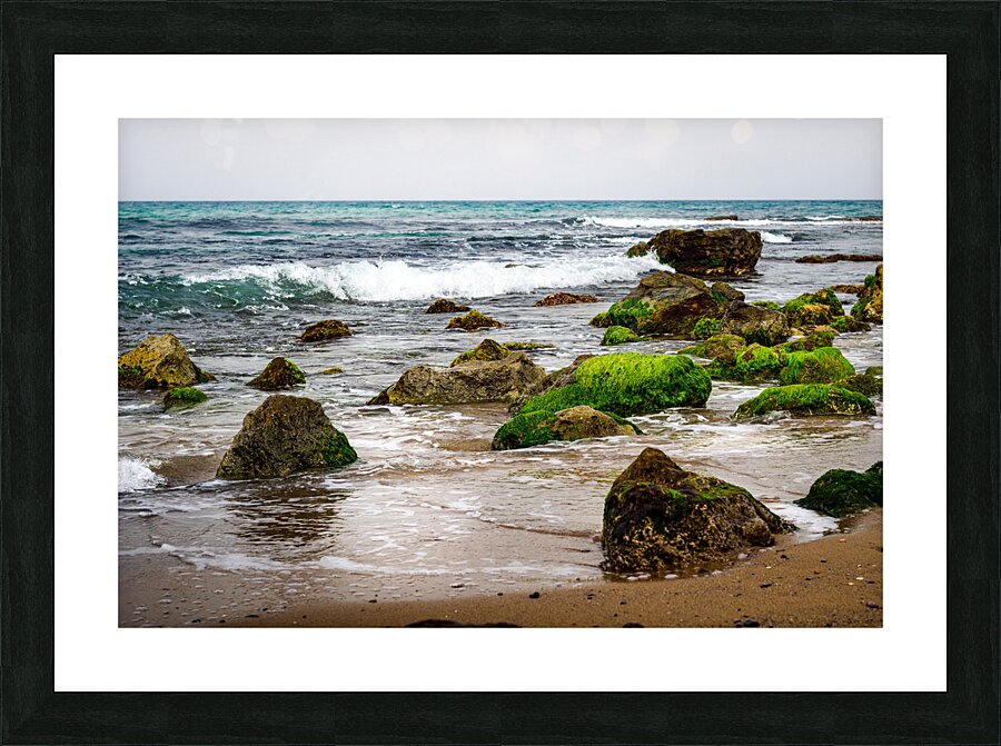  Fine Art print
