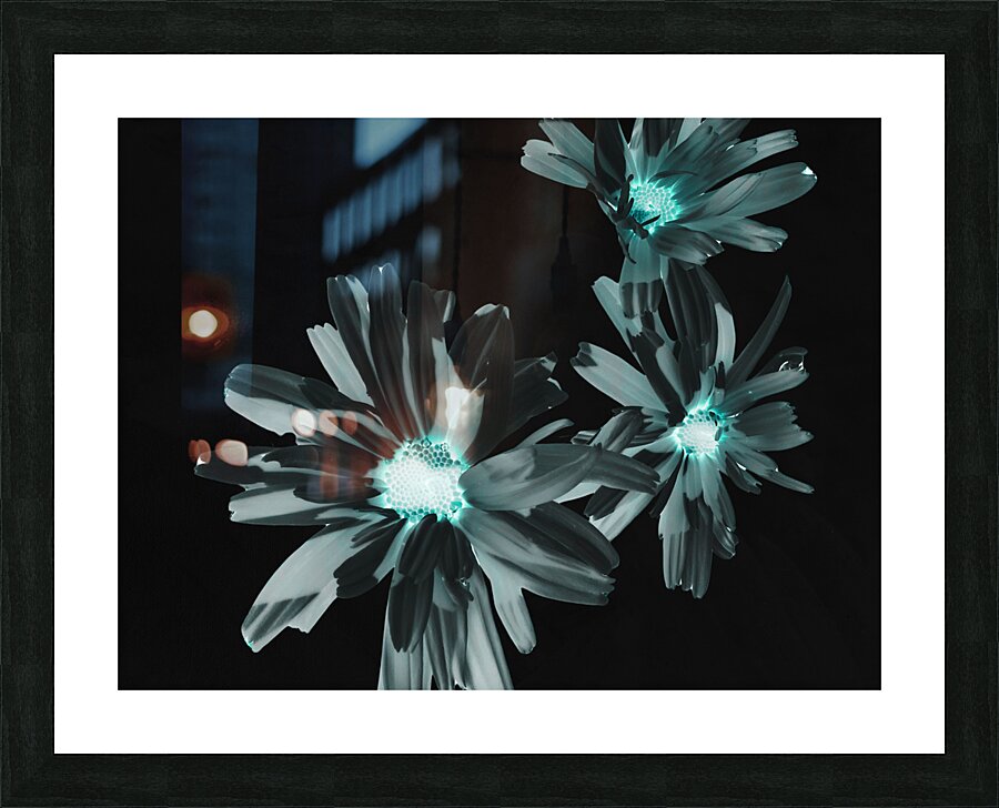 Abstract Glowing Daises on a Dark Background Picture Frame print