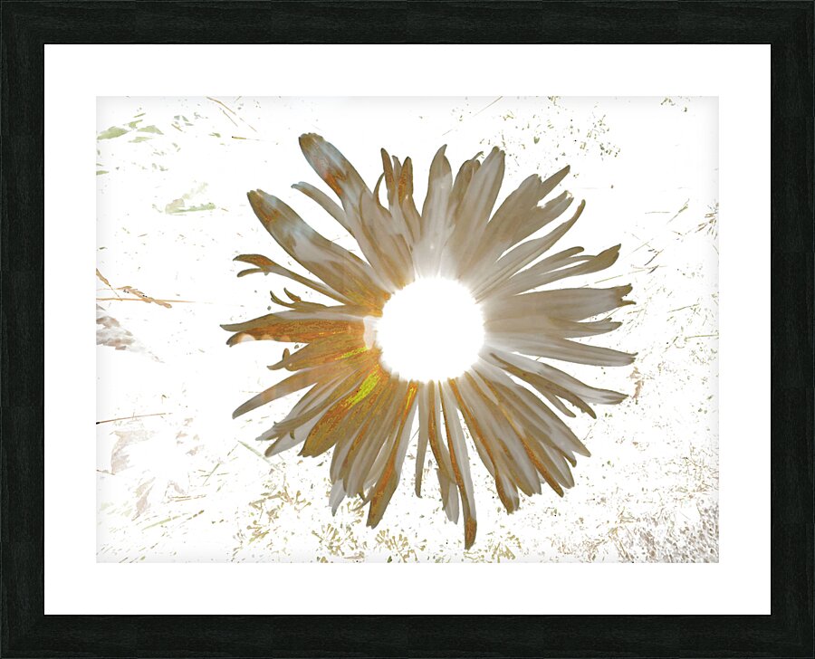 Abstract Daisy Light Star Picture Frame print