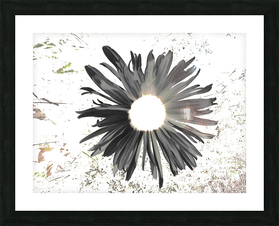 Abstract Dark Daisy Star Light Picture Frame print