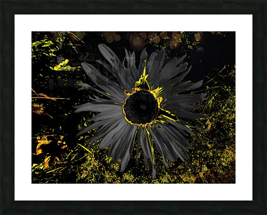 Abstract Dark Daisy Picture Frame print
