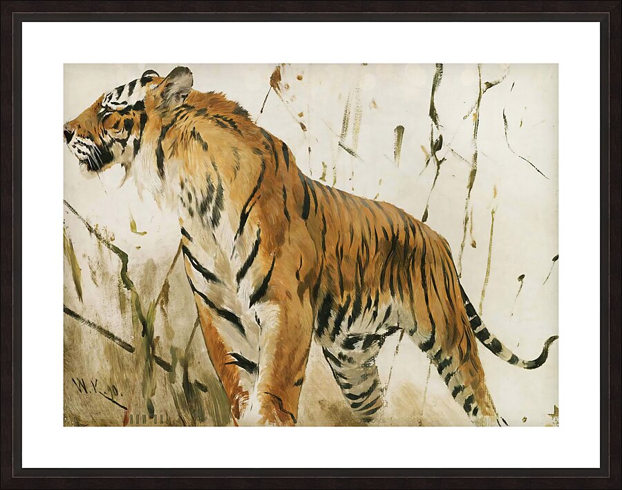 Study Of A Tiger 1890 Wilhelm Kuhnert German 1865 Picture Frame print