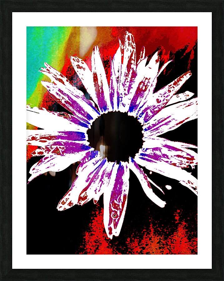Abstract Daisy Black Centre Picture Frame print
