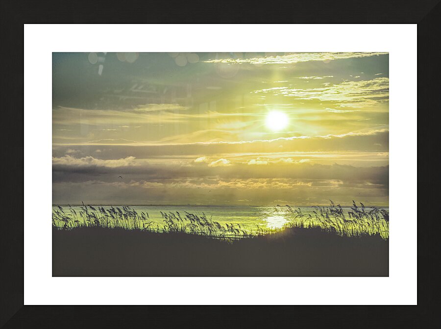 Hilton Head Better at the Beach Picture Frame print