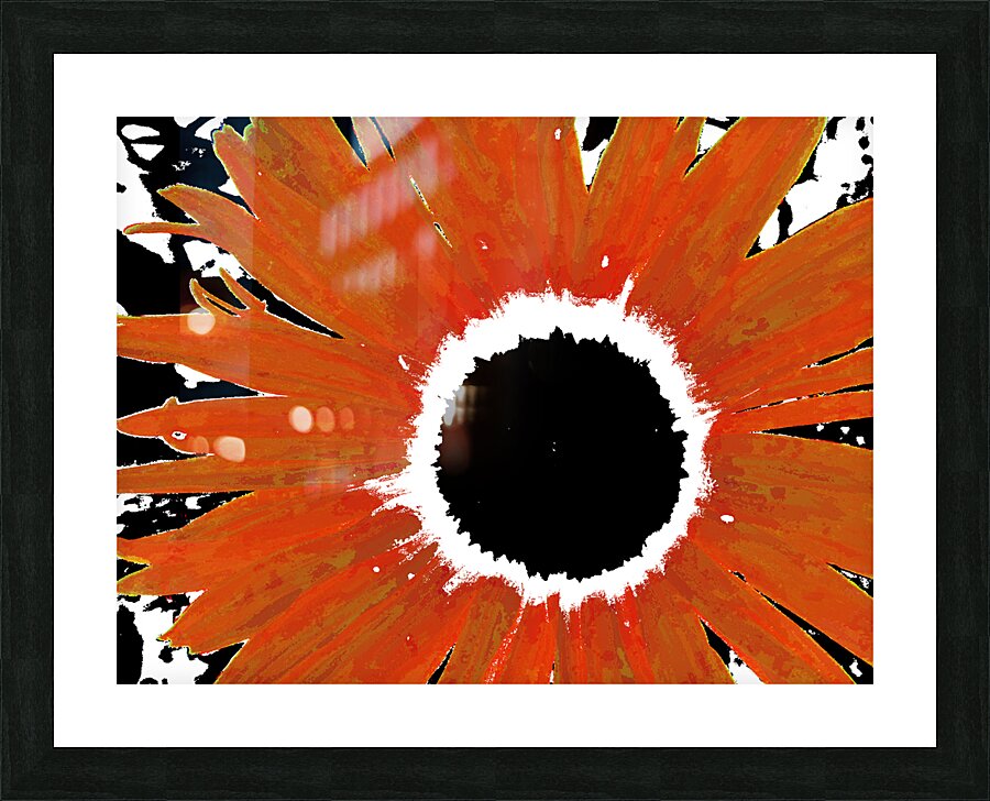 Abstract Orange Daisy Picture Frame print
