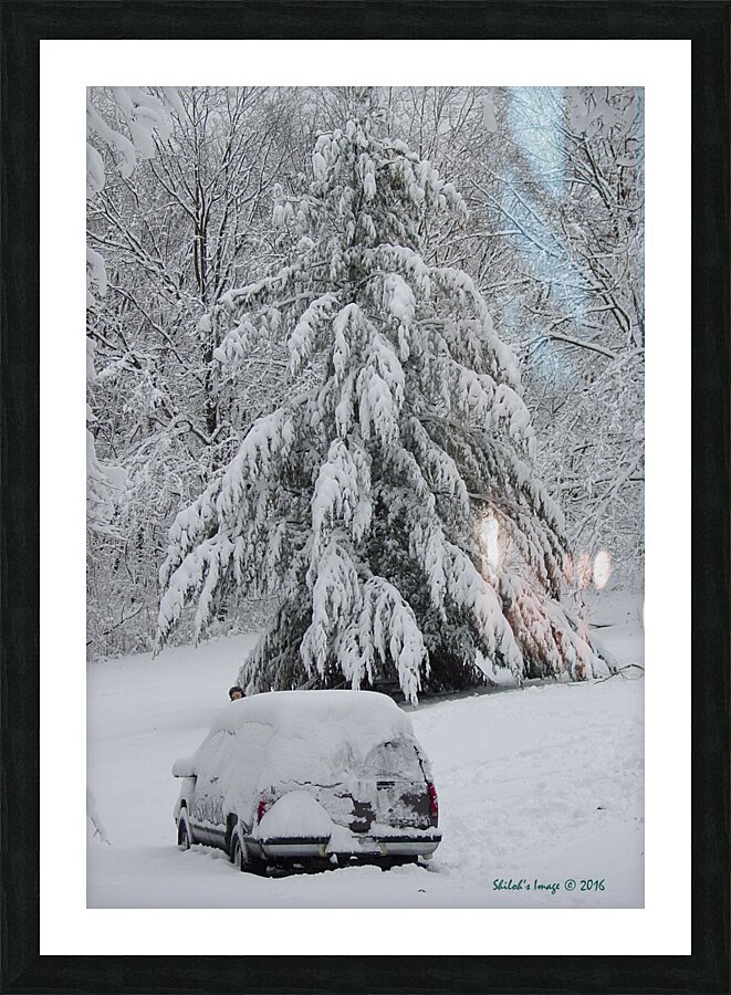  Fine Art print
