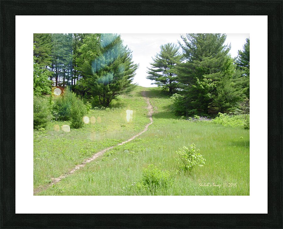  Fine Art print