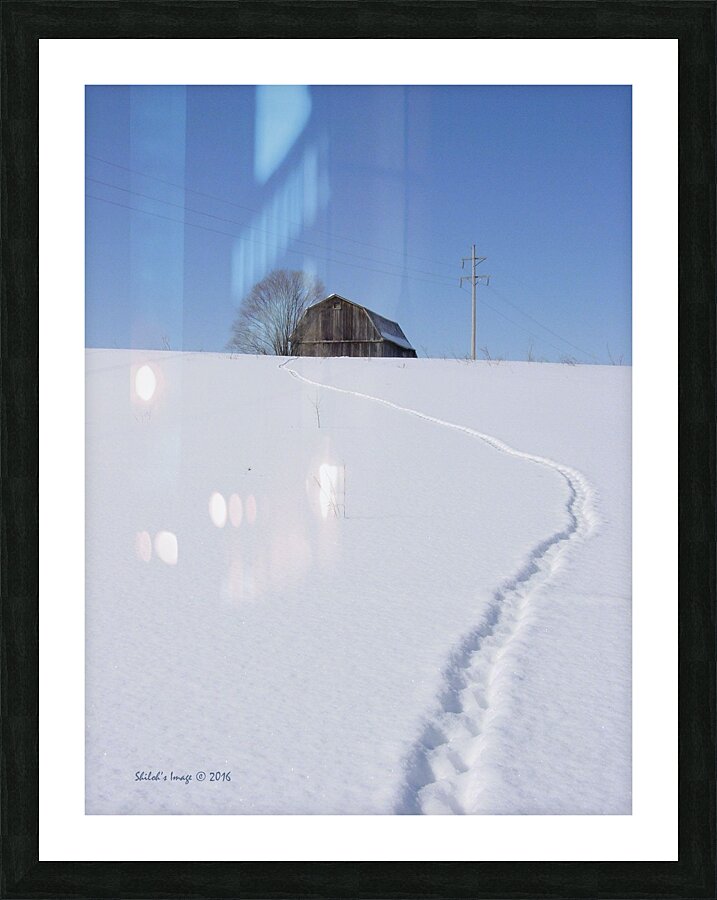  Fine Art print