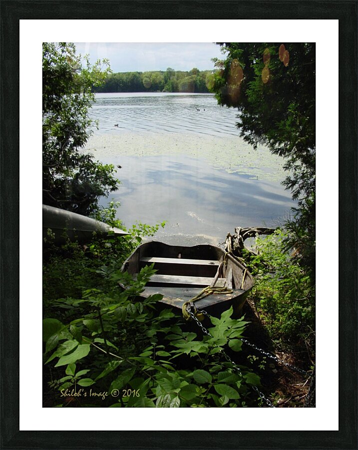  Fine Art print