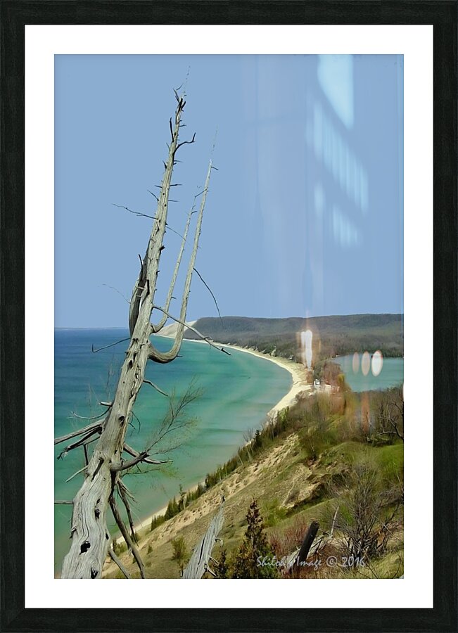  Fine Art print