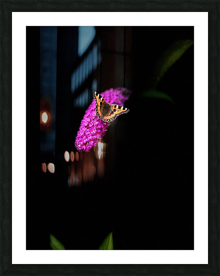  Butterfly Joy Picture Frame print