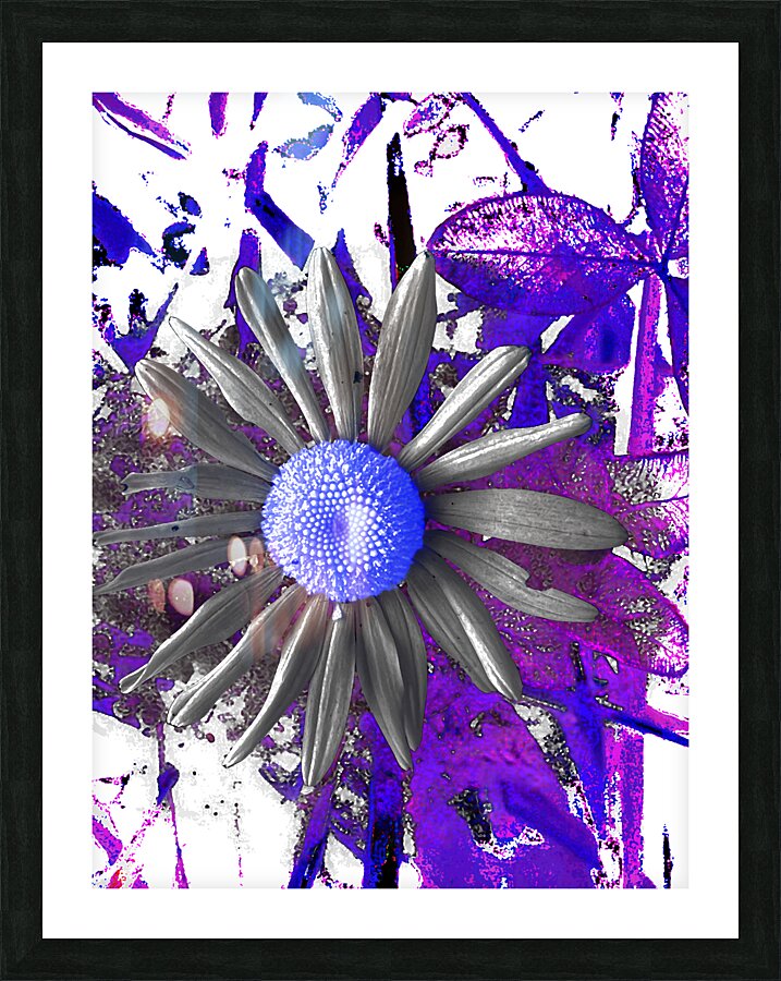 Cool Abstract Grey Daisy Picture Frame print