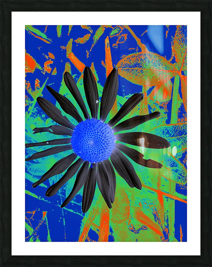 Cool Vibrant Abstract Daisy  Picture Frame print